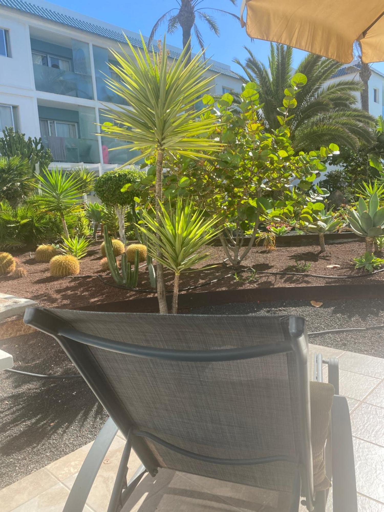 Sun And Surf Stay Corralejo Exterior photo